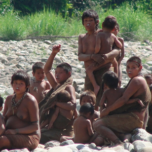 The Un-contacted Tribes and the Oil Threat